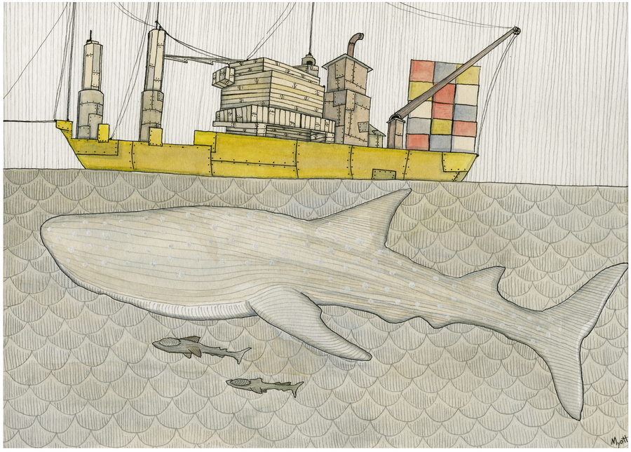 Whale Shark original painting by Christopher Myott