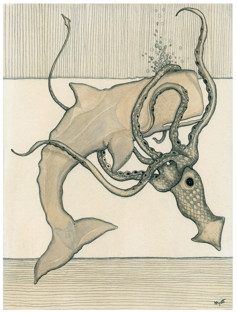 Whale and Squid print by Chris Myott