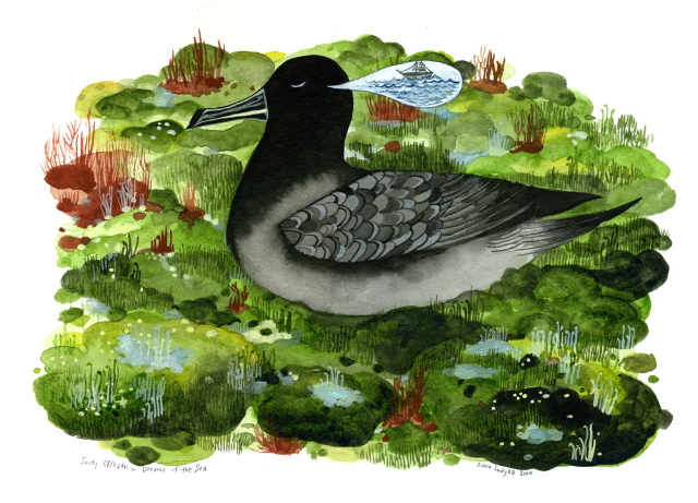 Sooty Albatross Dreams of the Sea original painting by Diana Sudyka