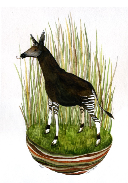 Okapi original painting by Diana Sudyka