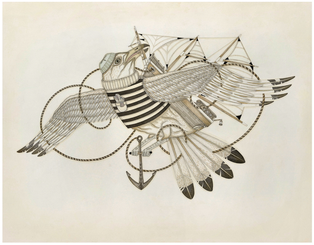 Seagull and the Sailors Knot print by Evan B. Harris