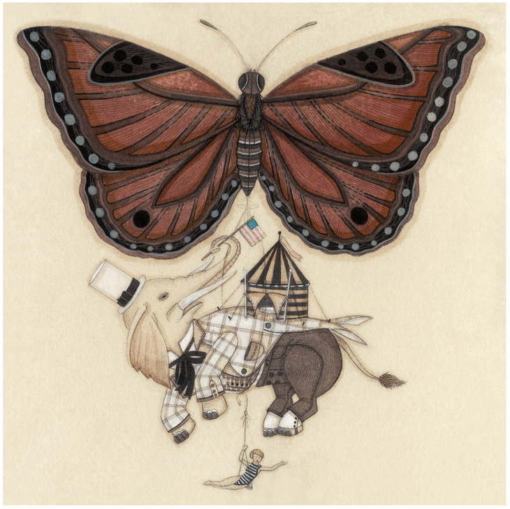 Elephant on a Wing by Evan B. Harris