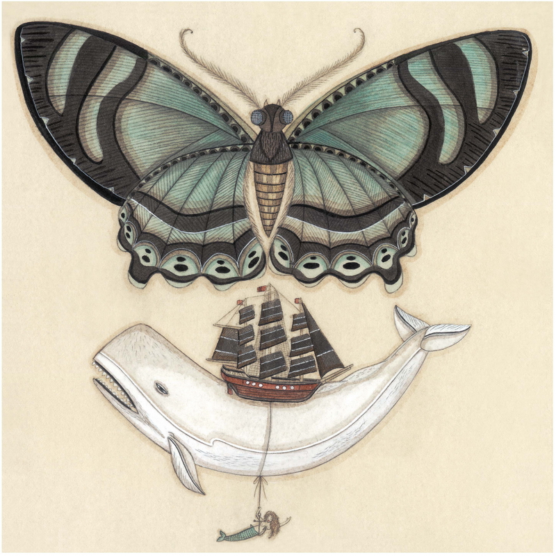 Whale on a Wing by Evan B. Harris