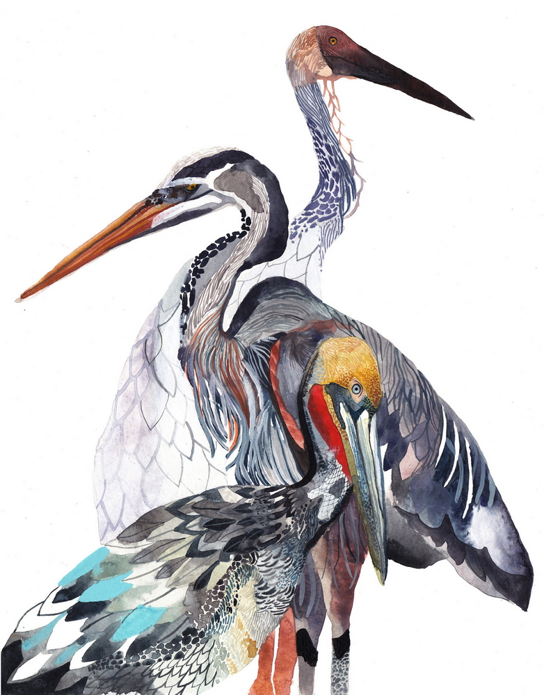 Pelican, Heron, and Crane print by Michelle Morin