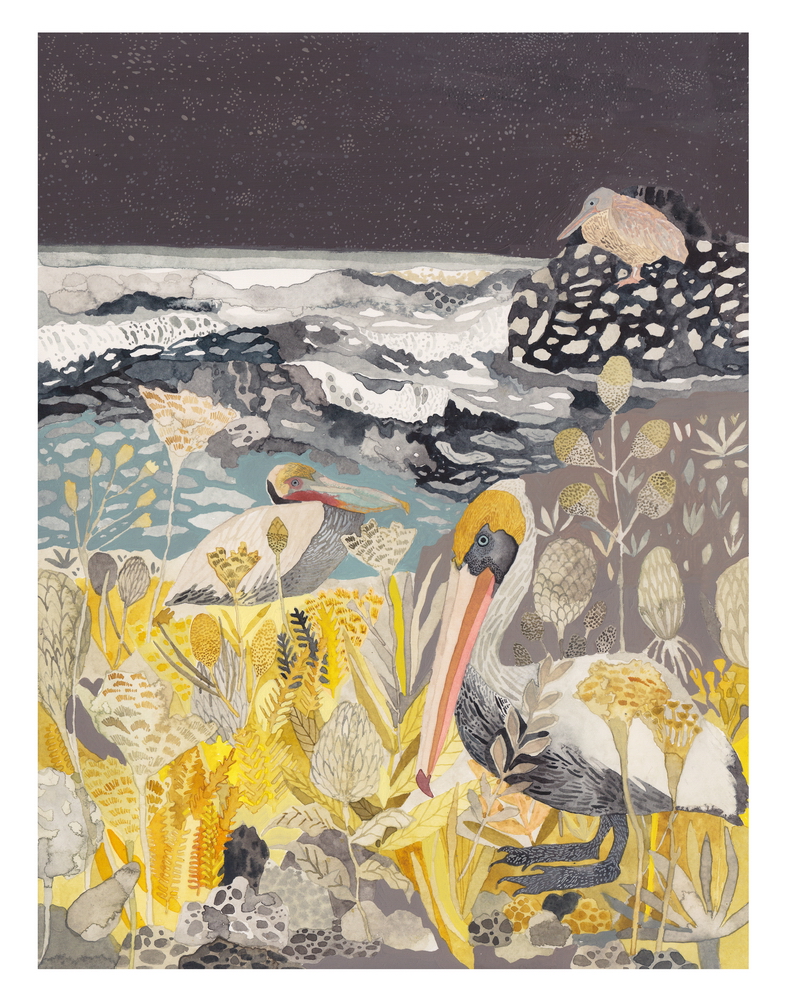 Winter pelicans and yarrow print by Michelle Morin