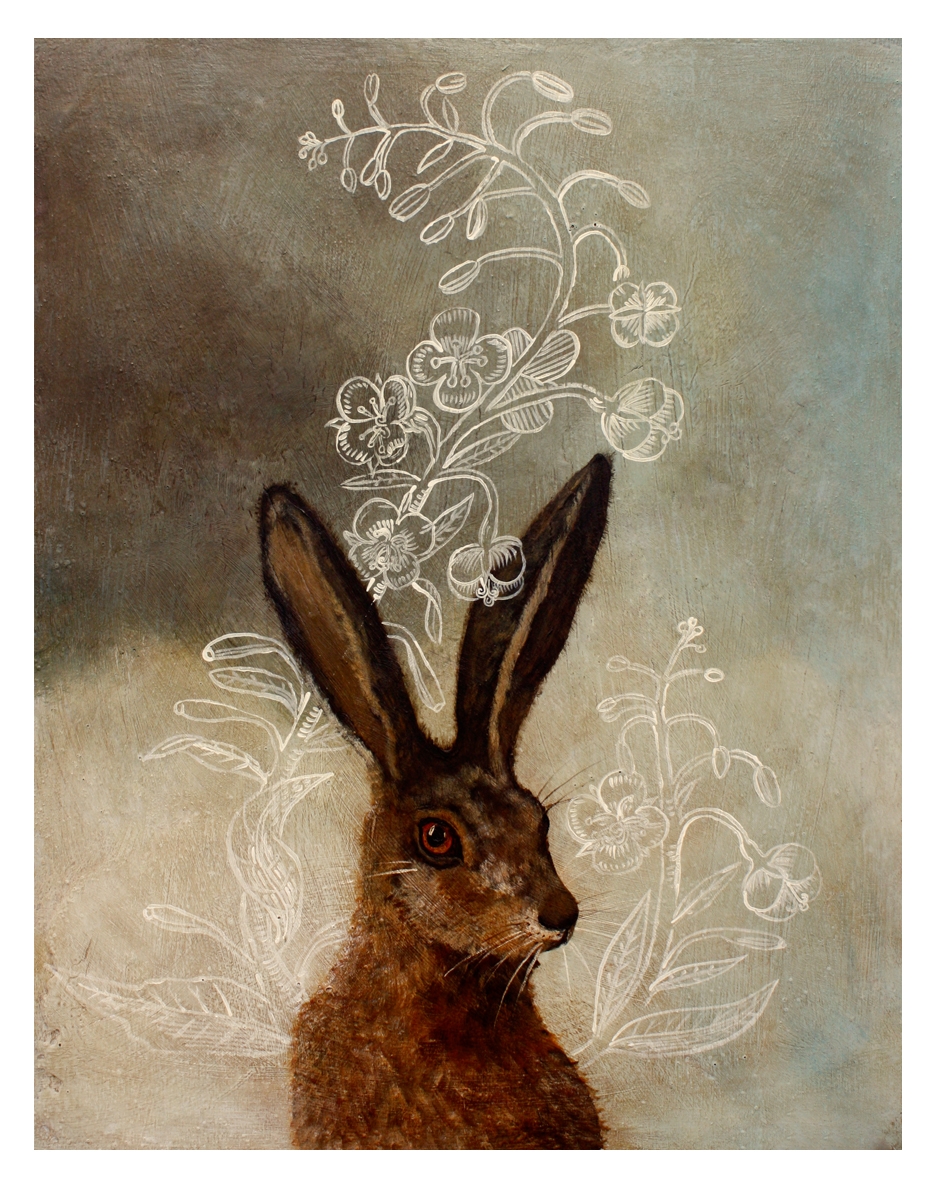 Hare by Anne Siems