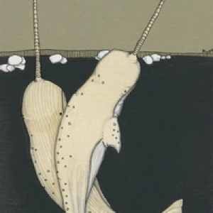 Narwhal by Christopher Myott