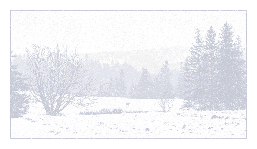 Call of the Wild by Dan McCarthy