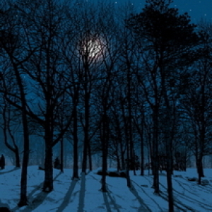 Followed by the Moon by Dan McCarthy