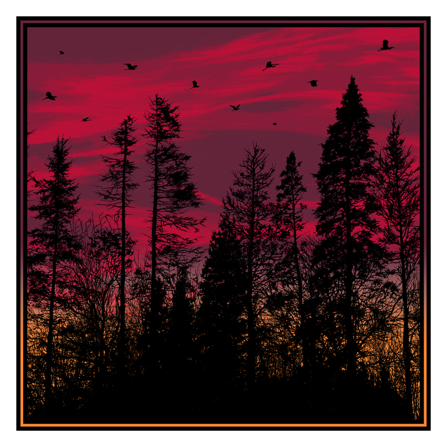 Big birds flying across the sky print by Dan McCarthy