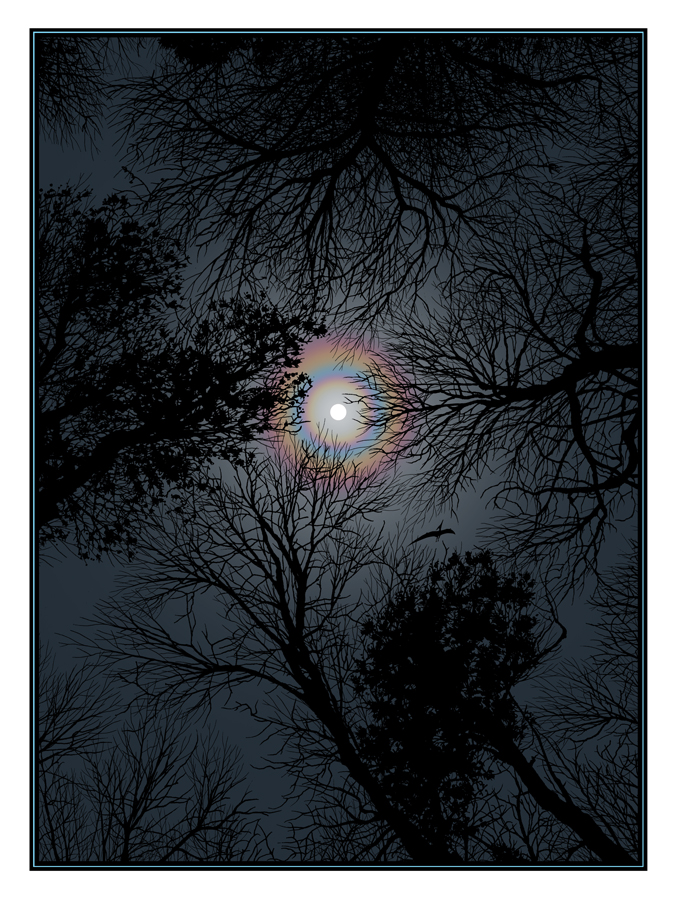 Night Sky print by Dan McCarthy