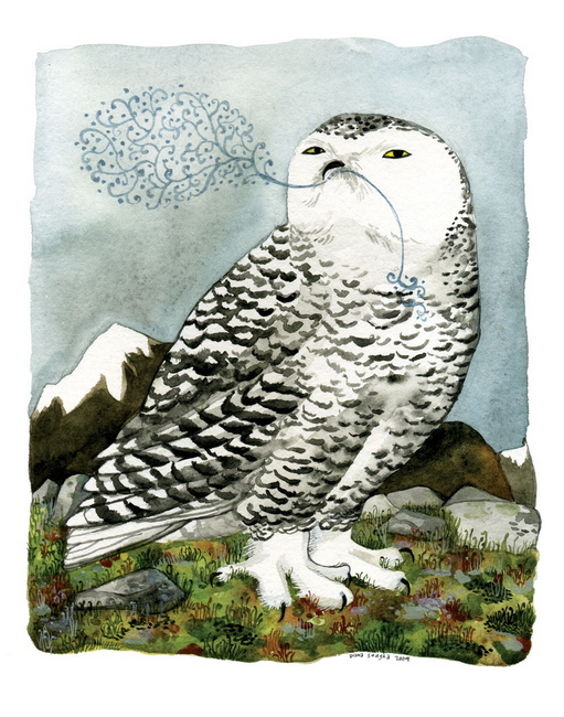 Arctic Owl by Diana Sudyka