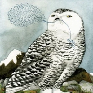 Arctic Owl by Diana Sudyka