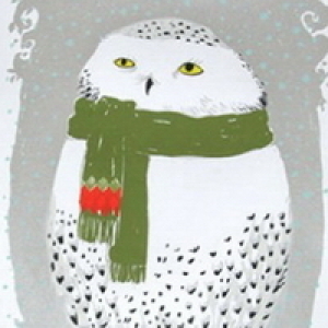 Snowy Owl by Diana Sudyka