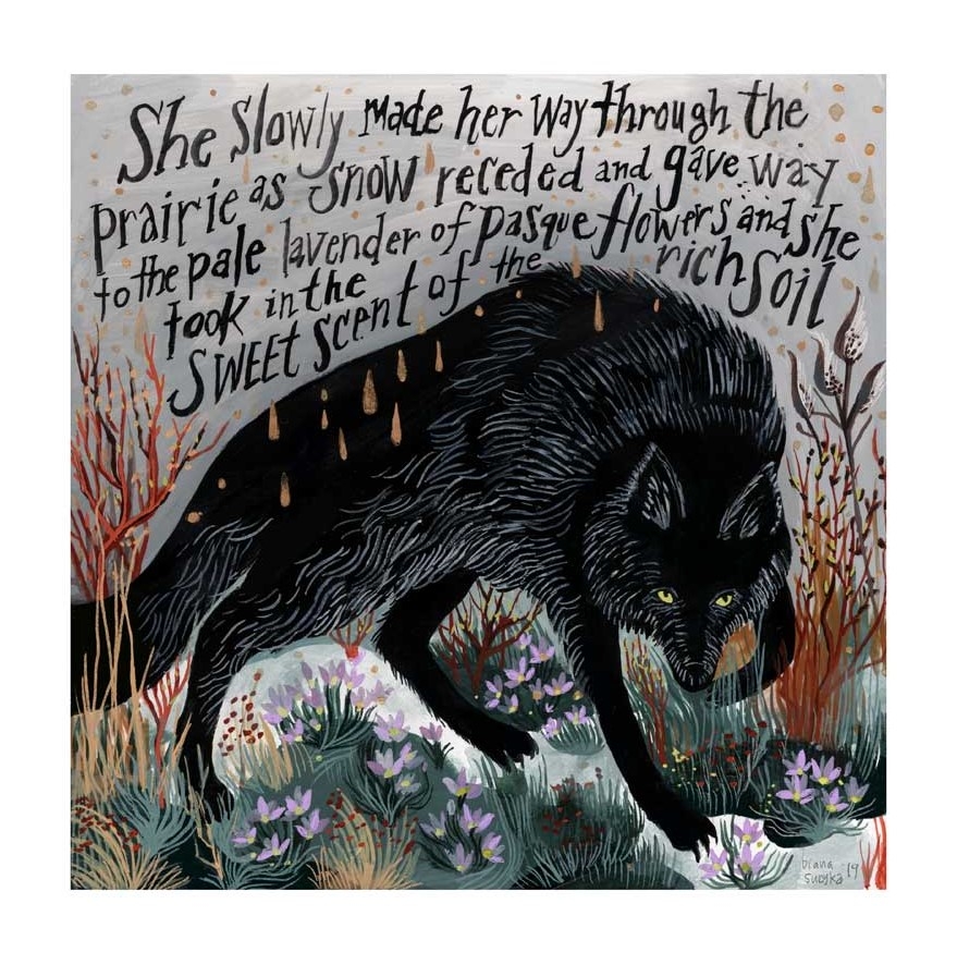 Black Wolf and Pasque Flowers by Diana Sudyka