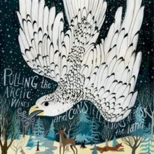 Gyrfalcon by Diana Sudyka