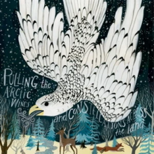 Gyrfalcon by Diana Sudyka