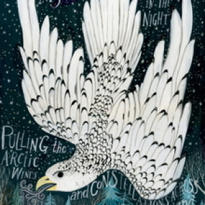 Gyrfalcon by Diana Sudyka