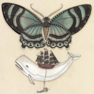 Whale on a Wing by Evan B. Harris