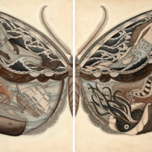 Sea Wings set by Evan B. Harris