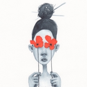 Papaver by Graham Franciose