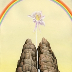 The Day Gate by Hallie Rose Taylor