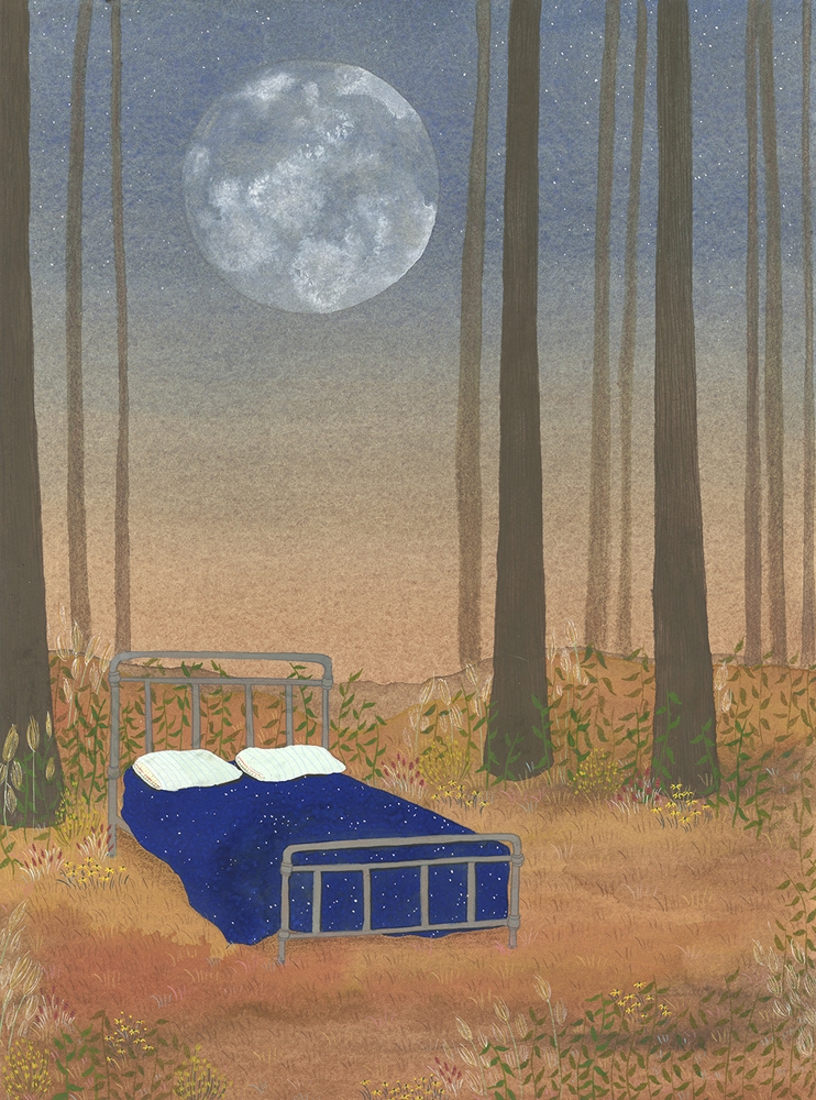 A time for every purpose by Heather Sundquist Hall