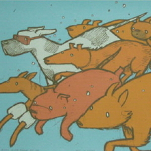 Dogs in school by Jay Ryan