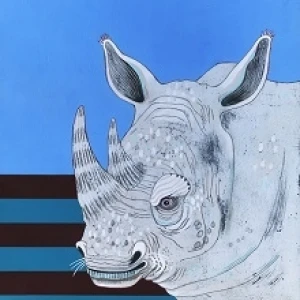 Rhino by Jennifer Davis