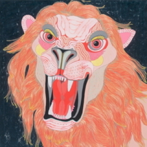 Lion by Jennifer Davis