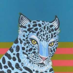 Leopard by Jennifer Davis