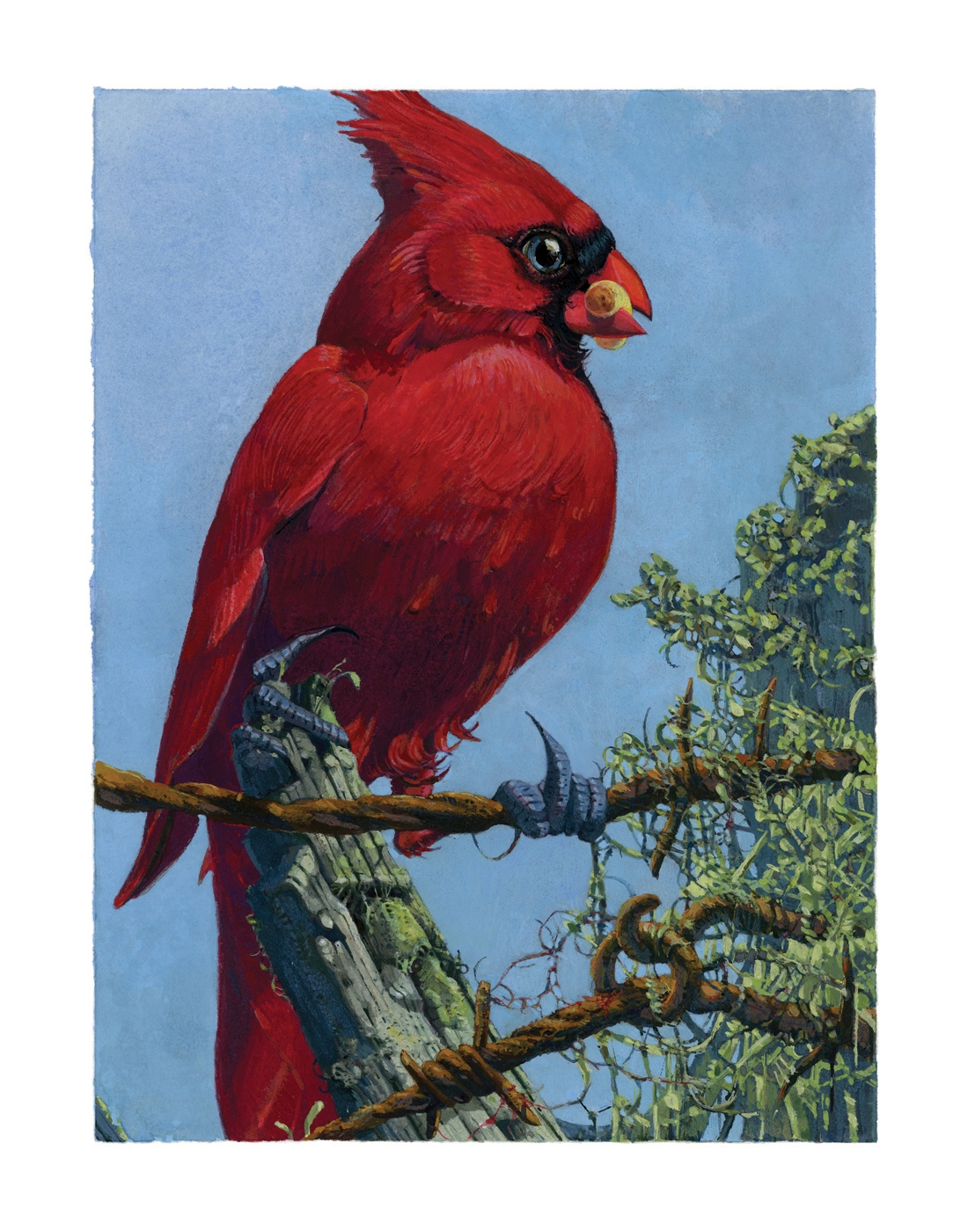 Mr. Blue Sky by Landland