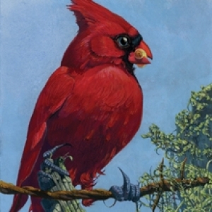 Mr. Blue Sky by Landland