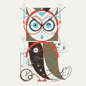 Owl by Leandro Castelao