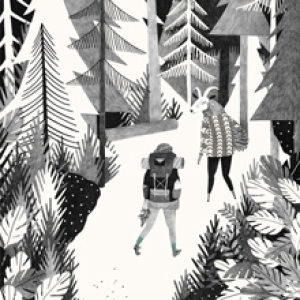 Dennenbos by Liekeland