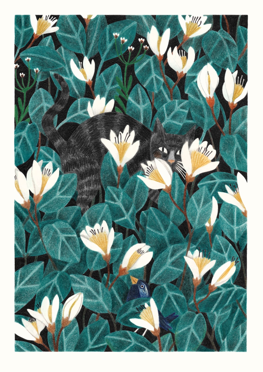 Wildernis by Liekeland