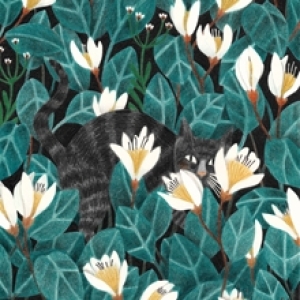 Wildernis by Liekeland