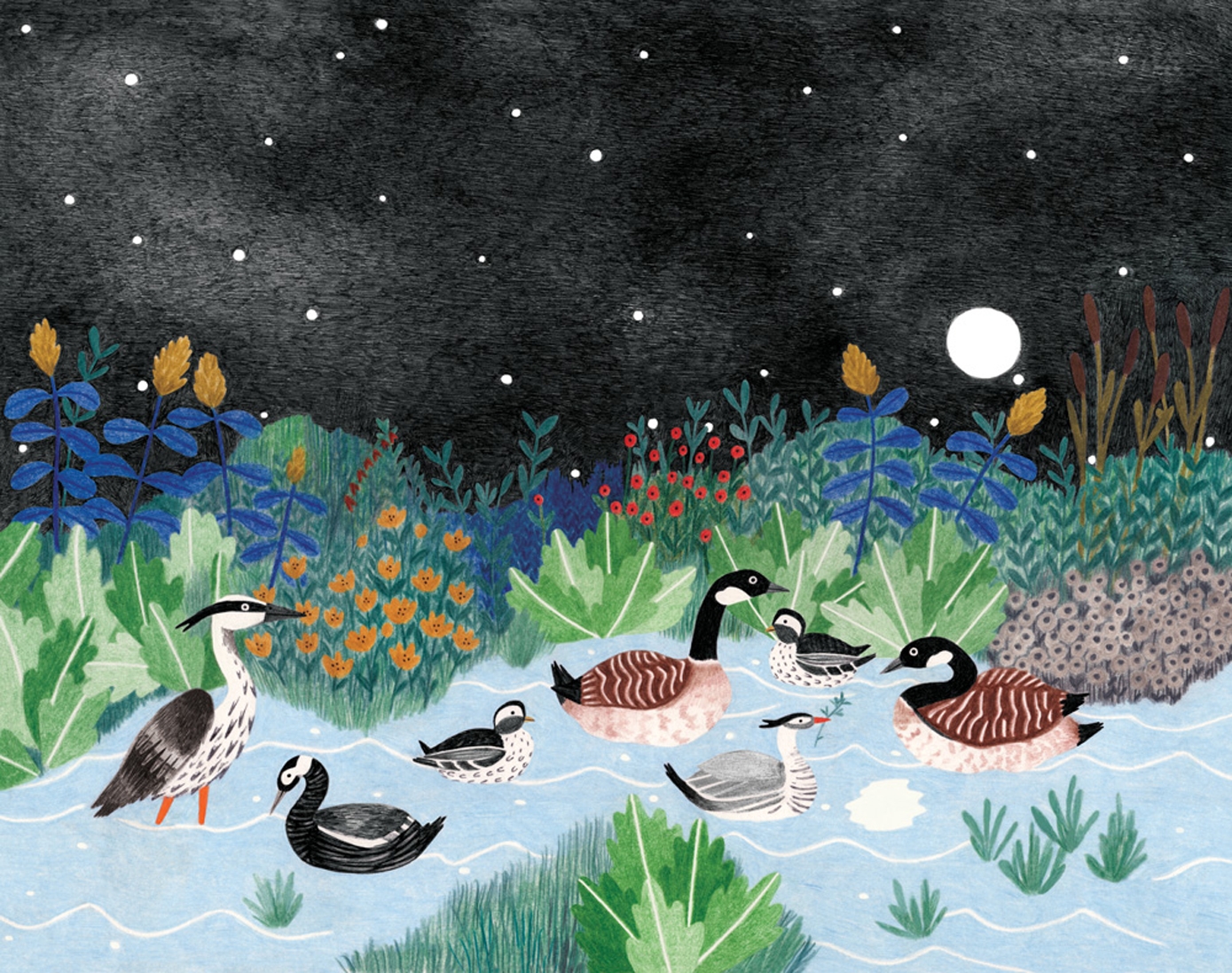 Eendenmeer by Liekeland