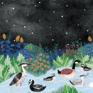 Eendenmeer by Liekeland