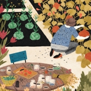 Pompoenen by Liekeland