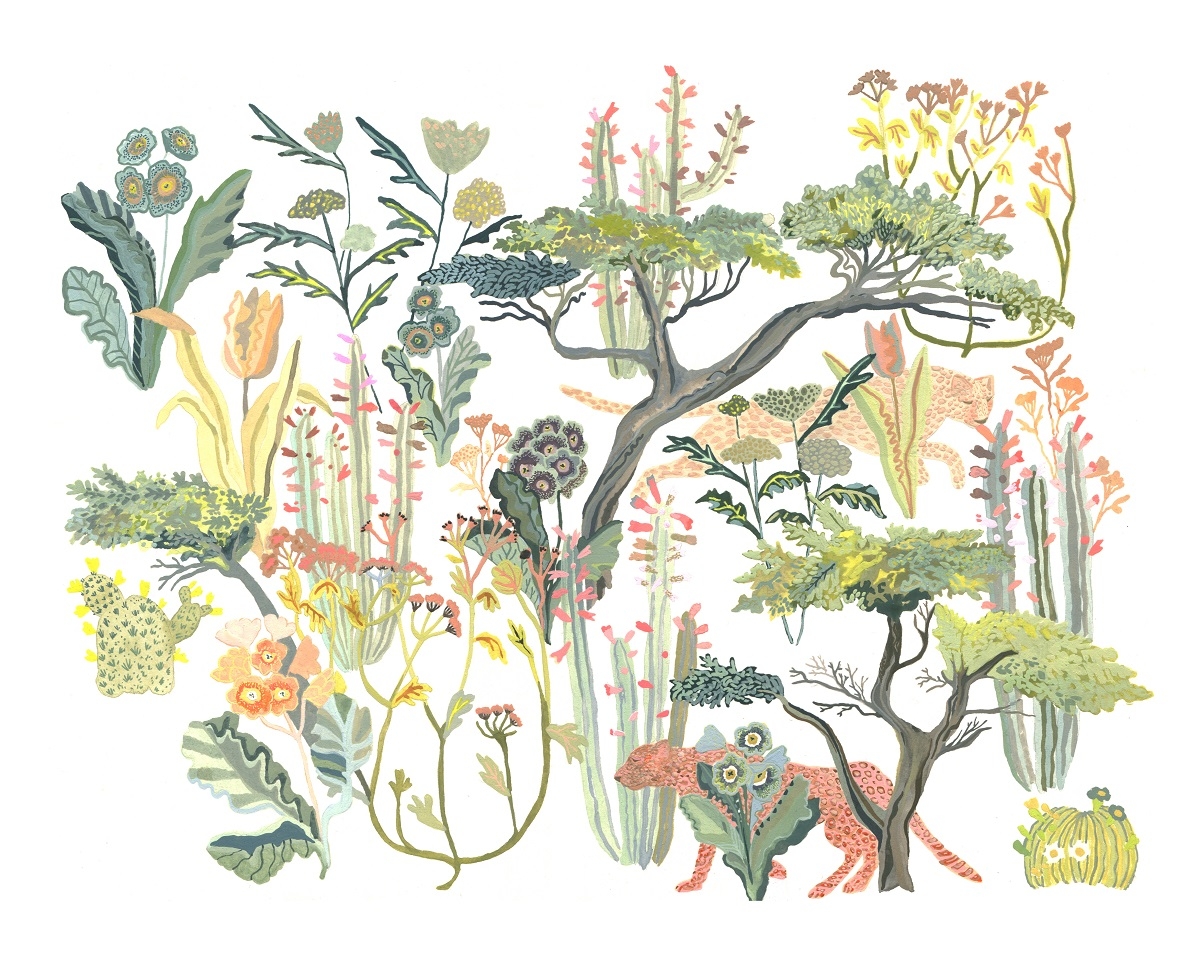 Cheetah by Michelle Morin