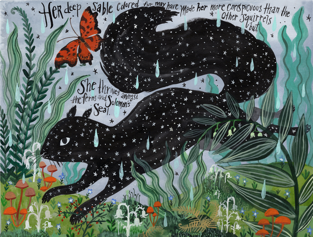 Black Squirrel by Diana Sudyka