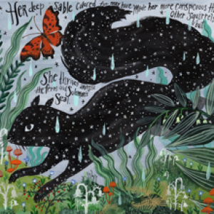 Black Squirrel by Diana Sudyka