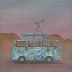 Use the Force by Heather Sundquist Hall