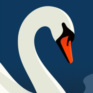 Swan by Thomas Danthony