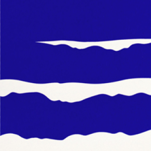 Waves by Thomas Danthony