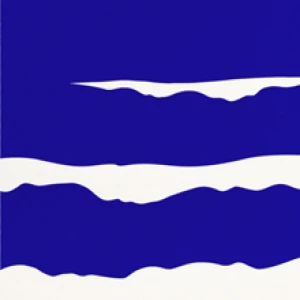Waves by Thomas Danthony
