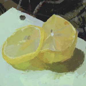 Camo Lemons by Amy Erickson