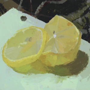 Camo Lemons by Amy Erickson