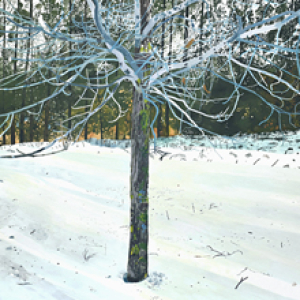 Ice Tree by Gianni Notarianni